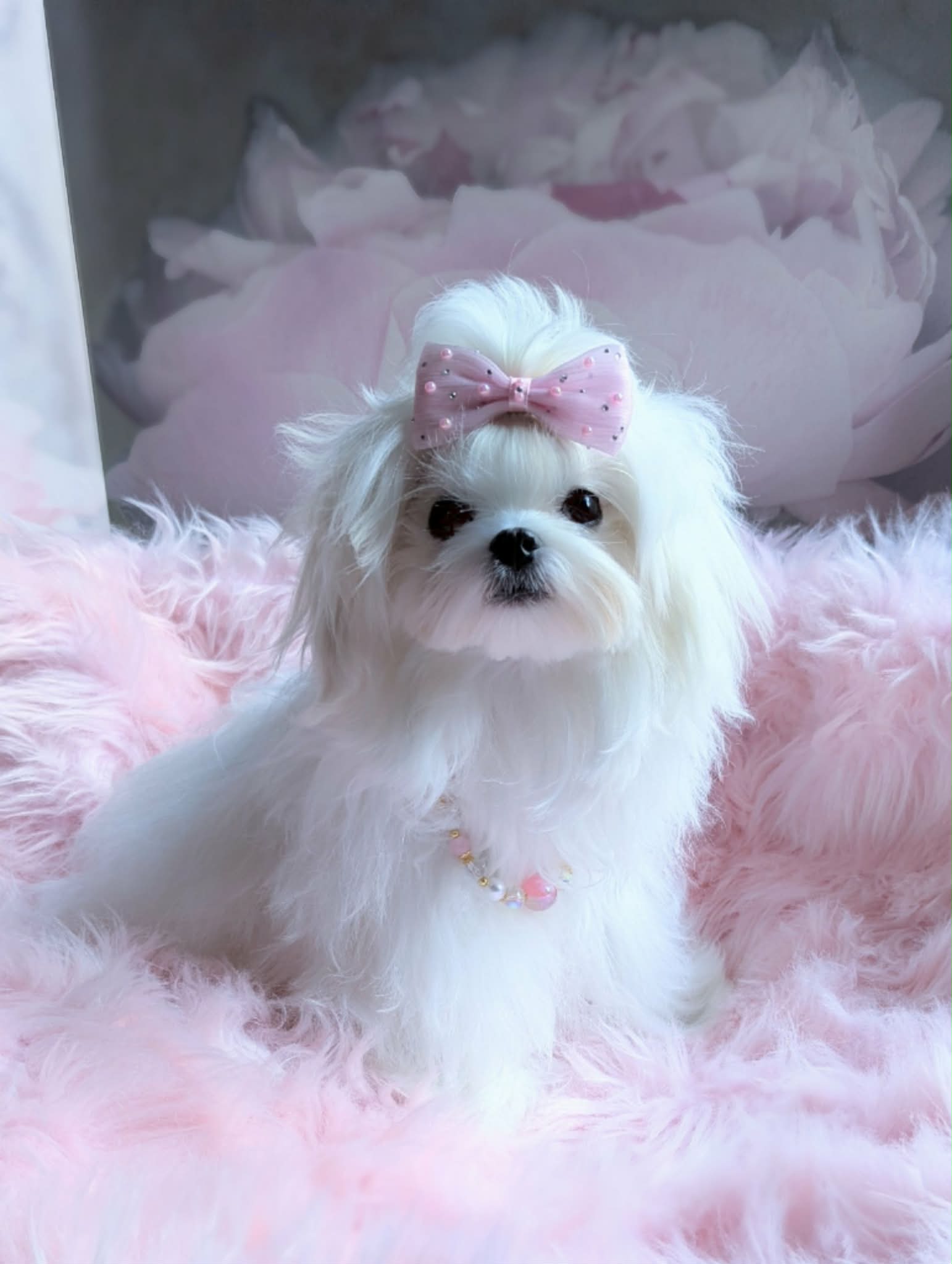 Dreamy